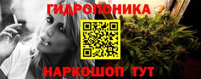 мяу мяу мука Нальчик