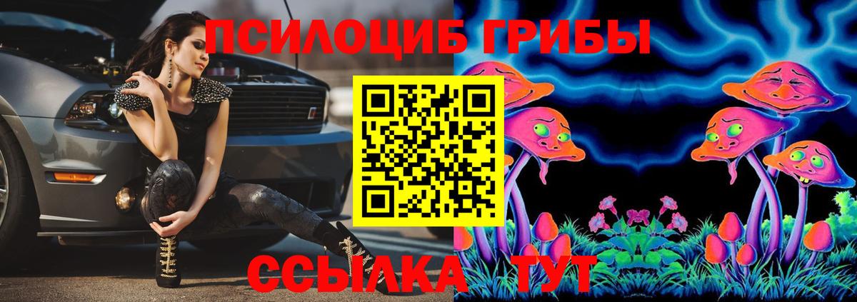 Галлюциногенные грибы GOLDEN TEACHER Урус-Мартан