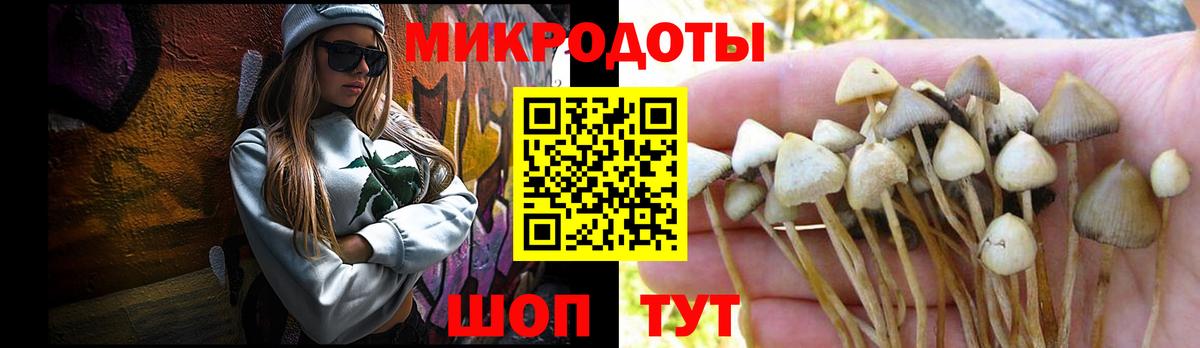 Псилоцибиновые грибы прущие грибы  Вход с VPN  Галлюциногенные грибы ЛСД  Урус-Мартан 
